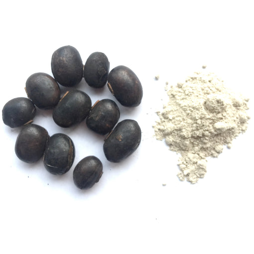 Why Mucuna may be better than synthetic L-DOPA