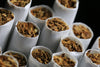 The Positive Role of Nicotine, Caffeine, and Mucuna Pruriens in Parkinson’s Disease Management